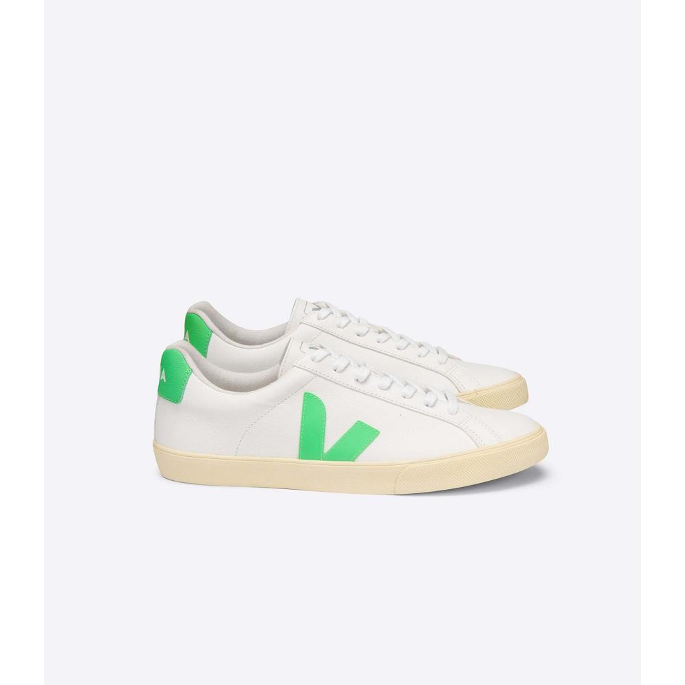 White/Green Men\'s Veja ESPLAR CHROMEFREE Shoes | AU 192EBC